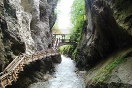SIGMUND-THUN KLAMM